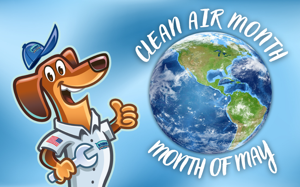 Celebrating Clean Air Month: Indoor Air Quality Tips That Work!