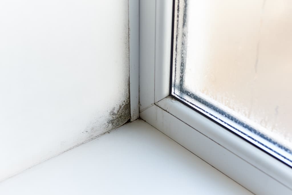 Mildew growing near windows indicate leaks or high humidity